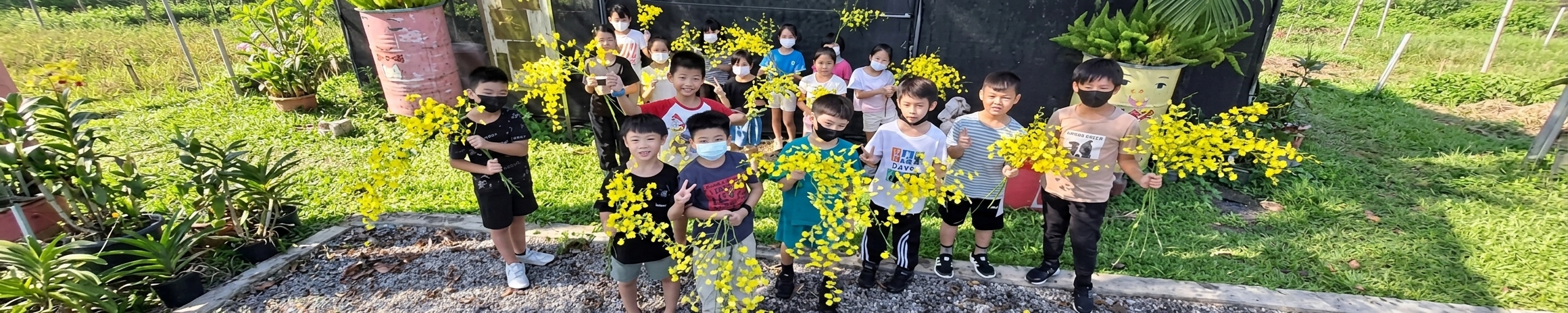 大坑國小文心蘭園